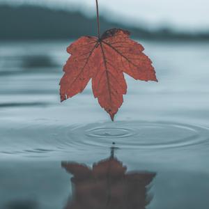 野外树林老汉XXXHD
